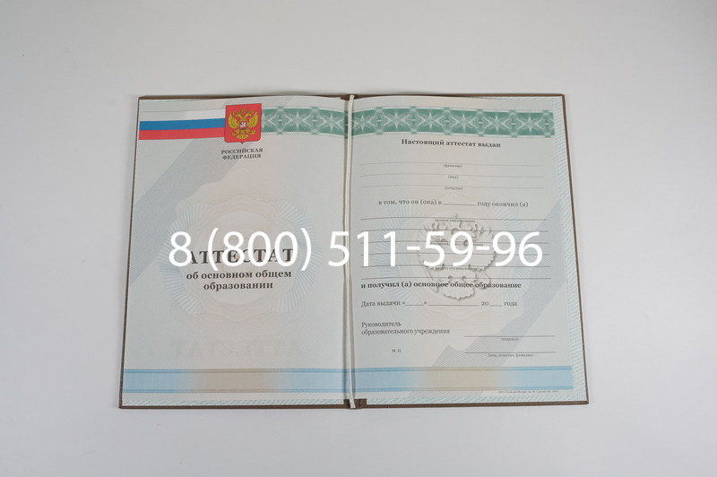 Аттестат за 9 класс 2011-2013 годов в Нижнекамске Аттестат за 9 класс 2011-2013 годов в Нижнекамске
