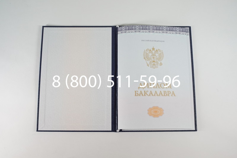 Диплом бакалавра (Киржач) 2014-2024 года в Нижнекамске Диплом бакалавра (Киржач) 2014-2024 года в Нижнекамске