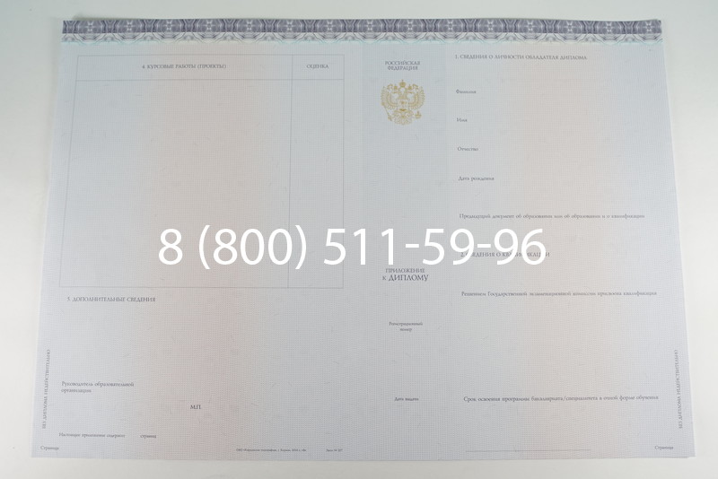 Диплом бакалавра (Киржач) 2014-2024 года в Нижнекамске Диплом бакалавра (Киржач) 2014-2024 года в Нижнекамске