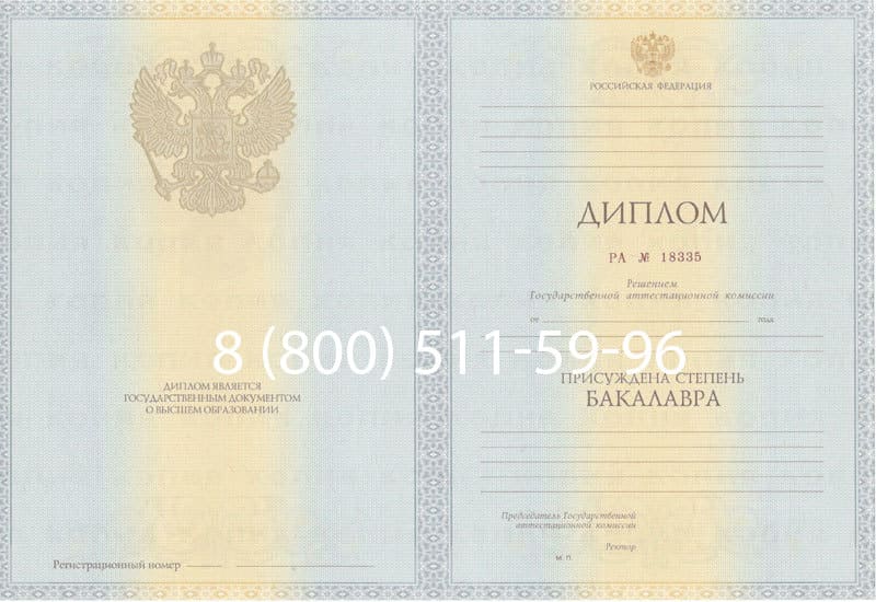 Купить Диплом бакалавра 2012-2013 годов в Нижнекамске