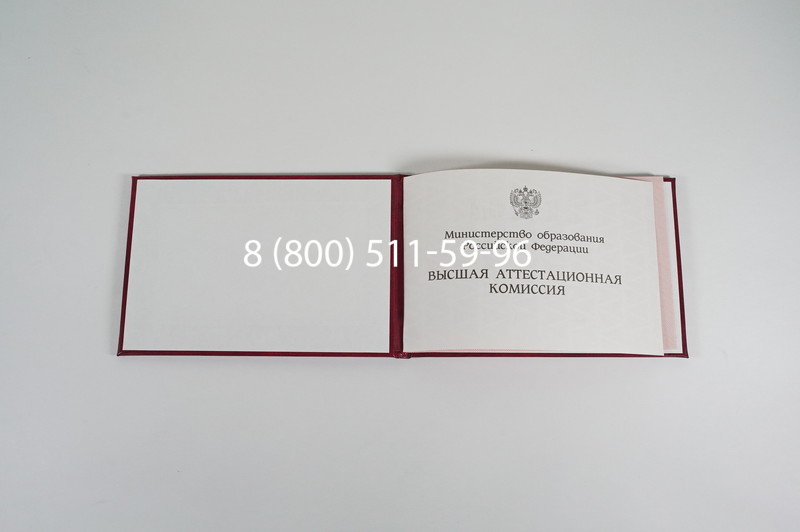 Диплом доктора наук 1995-2006 года в Нижнекамске