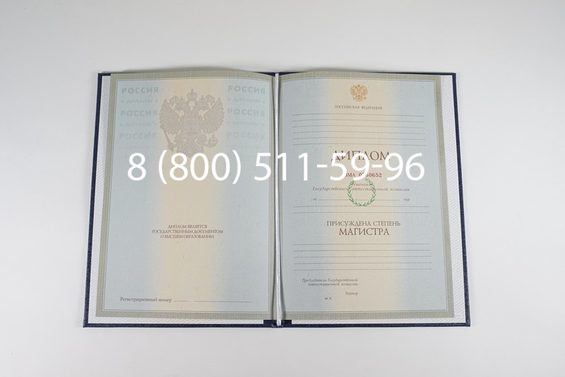 Диплом магистра 2003-2009 годов в Нижнекамске