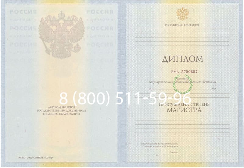 Купить Диплом магистра 2010-2011 годов в Нижнекамске Купить Диплом магистра 2010-2011 годов в Нижнекамске