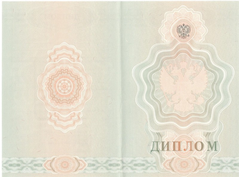 Купить Диплом о начальном образовании  2007-2009 годов в Нижнекамске