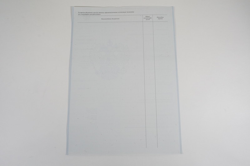 Диплом о начальном образовании  2007-2009 годов в Нижнекамске