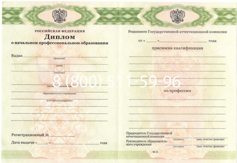 Купить Диплом о начальном образовании  2010-2024 годов в Нижнекамске