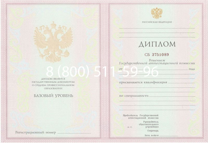 Купить Диплом о среднем образовании 2003-2006 годов в Нижнекамске Купить Диплом о среднем образовании 2003-2006 годов в Нижнекамске