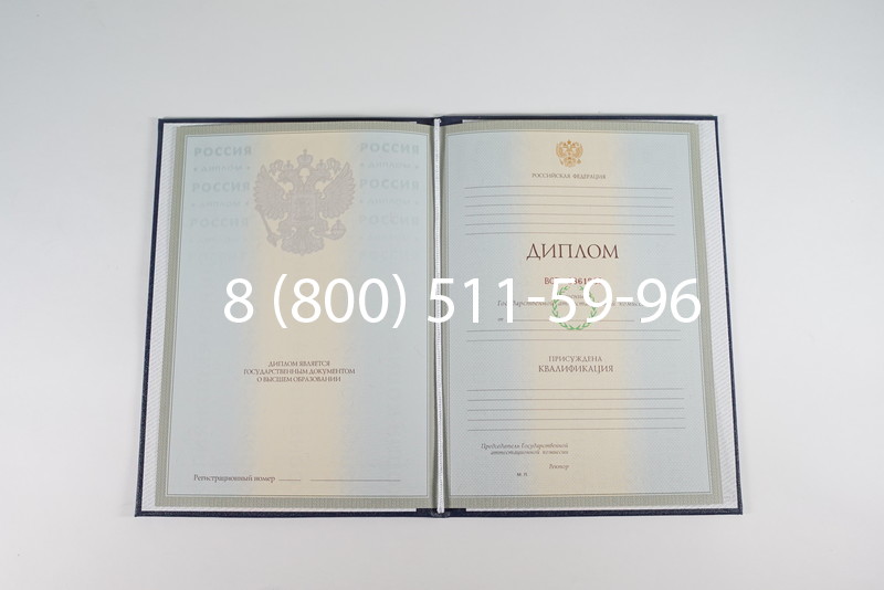 Диплом о высшем образовании 2003-2009 годов в Нижнекамске Диплом о высшем образовании 2003-2009 годов в Нижнекамске