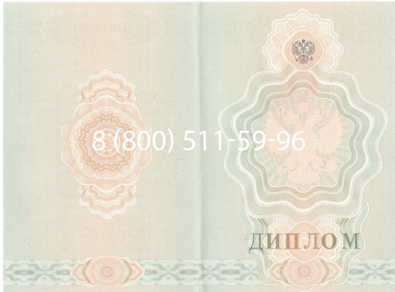 Купить Диплом ПТУ 2007-2010 годов в Нижнекамске Купить Диплом ПТУ 2007-2010 годов в Нижнекамске