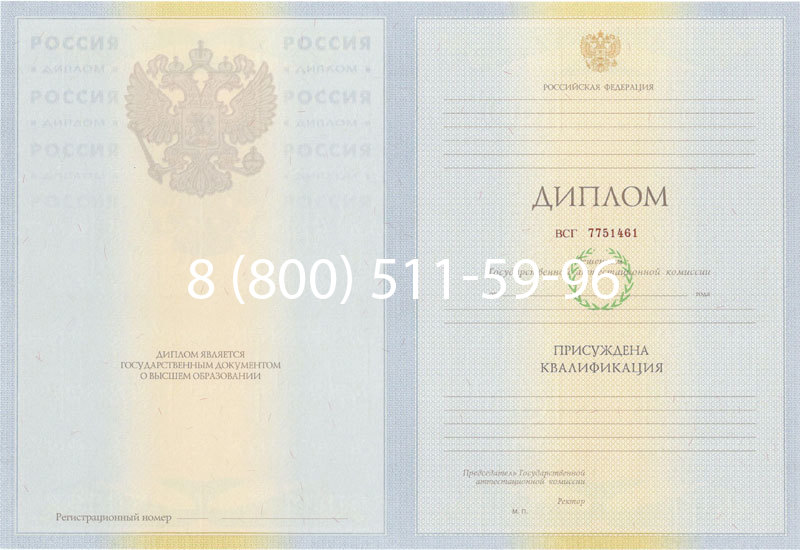 Купить Диплом специалиста 2010-2011 годов в Нижнекамске Купить Диплом специалиста 2010-2011 годов в Нижнекамске
