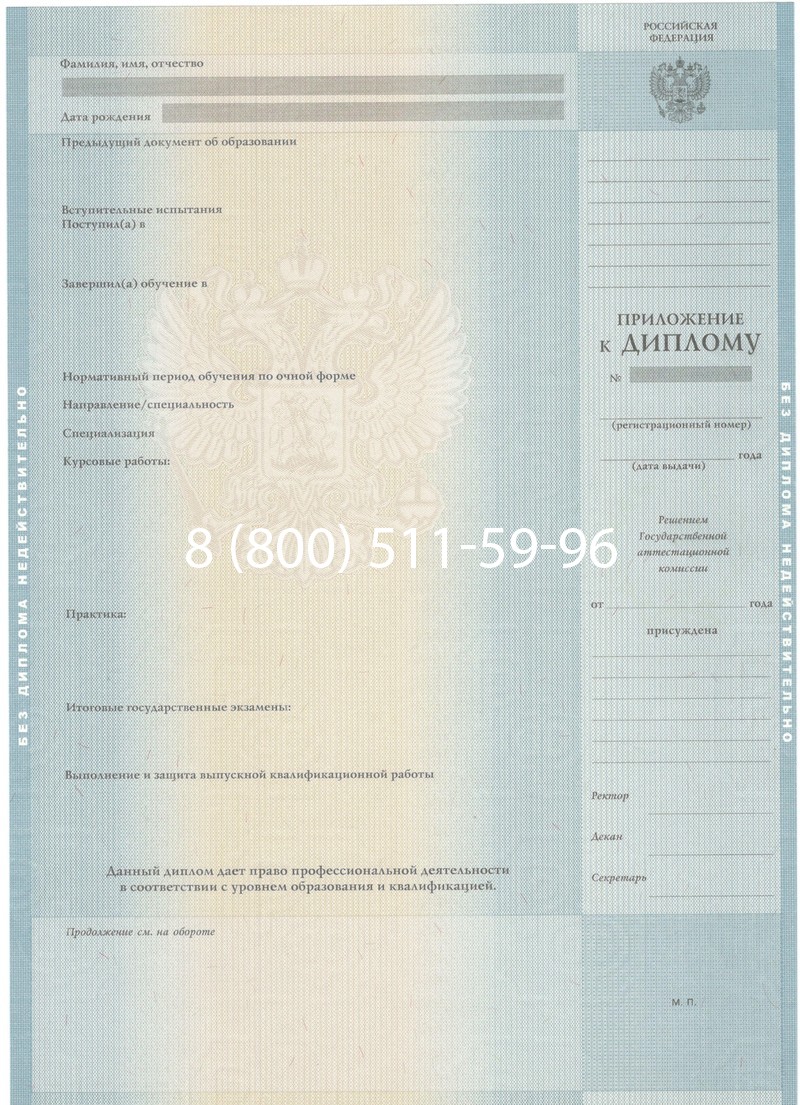 Заказать Диплом специалиста 2012-2013 годов в Нижнекамске Заказать Диплом специалиста 2012-2013 годов в Нижнекамске