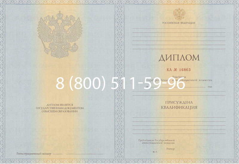 Купить Диплом специалиста 2012-2013 годов в Нижнекамске Купить Диплом специалиста 2012-2013 годов в Нижнекамске