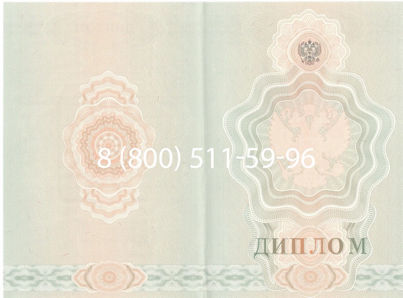 Купить Диплом училища 2007-2009 годов в Нижнекамске
